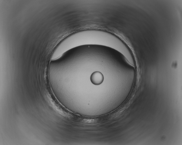 X0000115560057200911271506