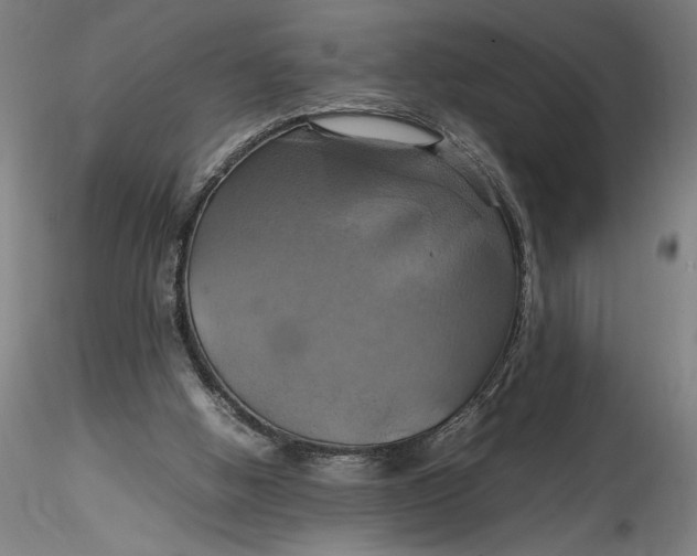 X0000115560058200911271506