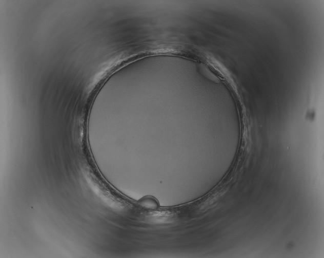 X0000115560059200911271506