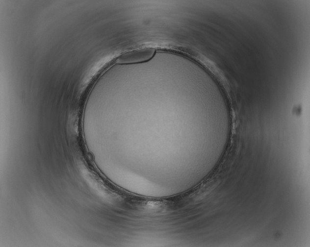 X0000115560060200911271506