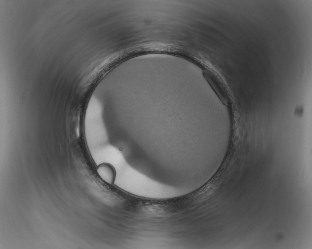 X0000115560062200911271506