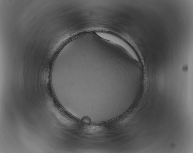 X0000115560063200911271506