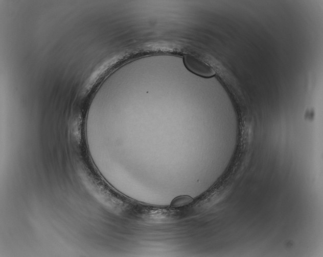 X0000115560064200911271506