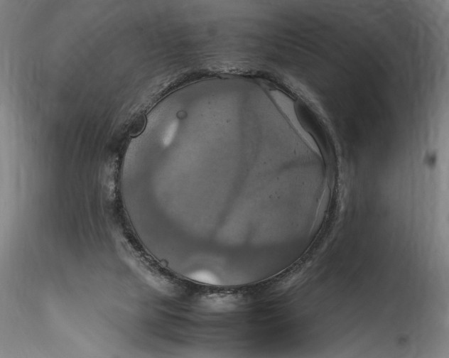 X0000115560065200911271506