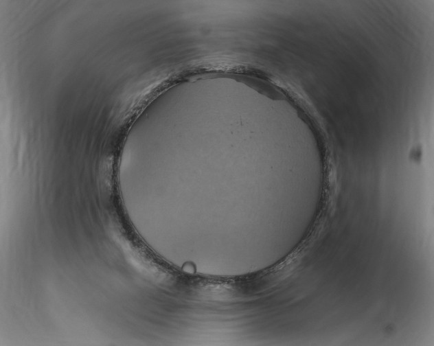 X0000115560066200911271506