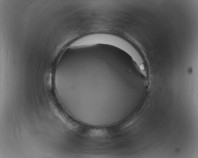 X0000115560067200911271506