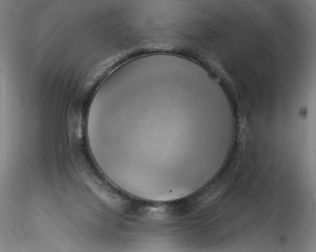 X0000115560068200911271506