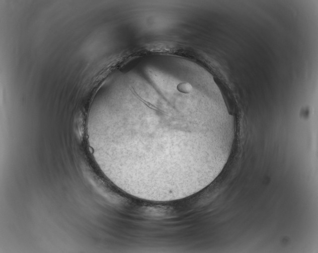 X0000115560069200911271506