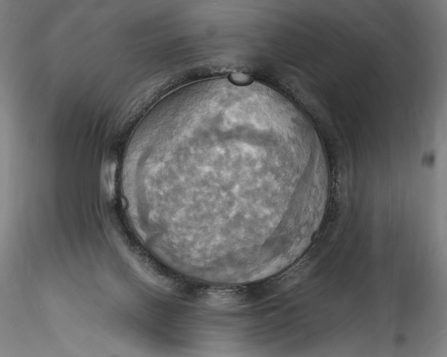 X0000115560070200911271506