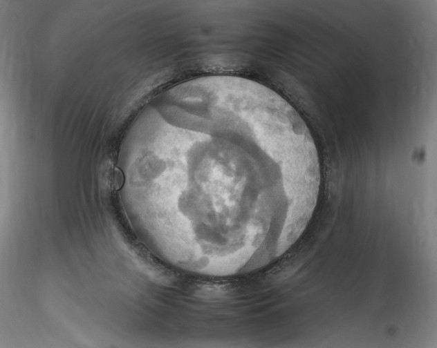 X0000115560071200911271506