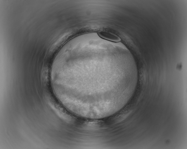 X0000115560072200911271506