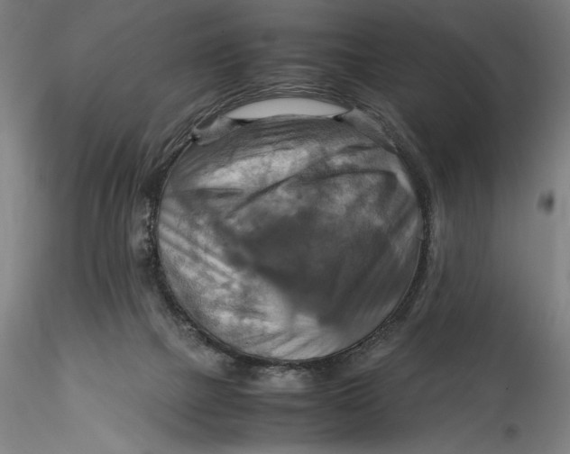 X0000115560073200911271506