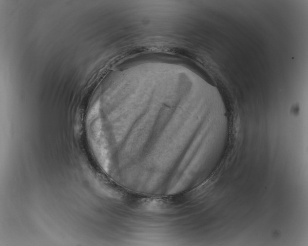 X0000115560074200911271506