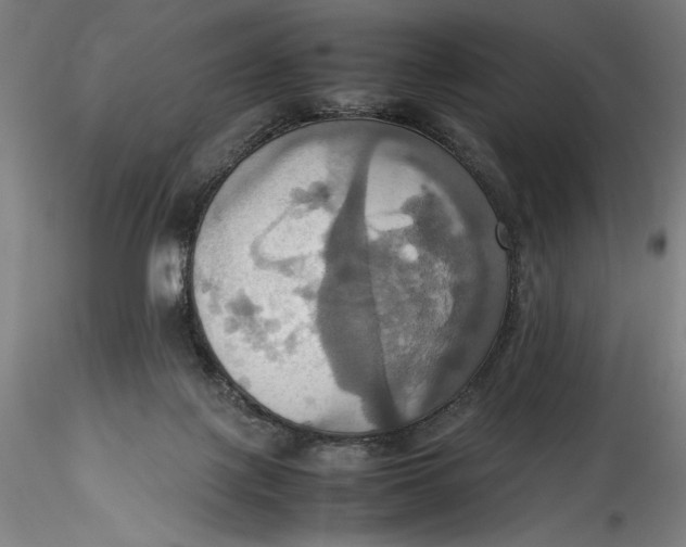 X0000115560075200911271506