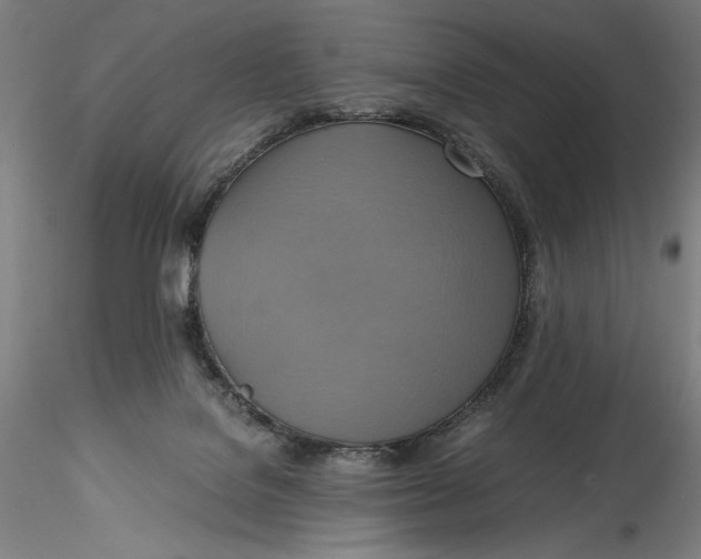 X0000115560076200911271506