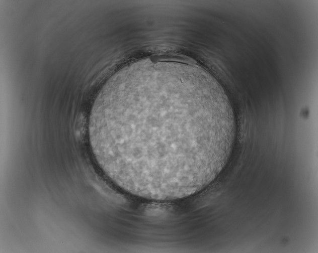 X0000115560077200911271506