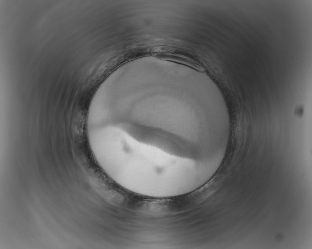 X0000115560078200911271506