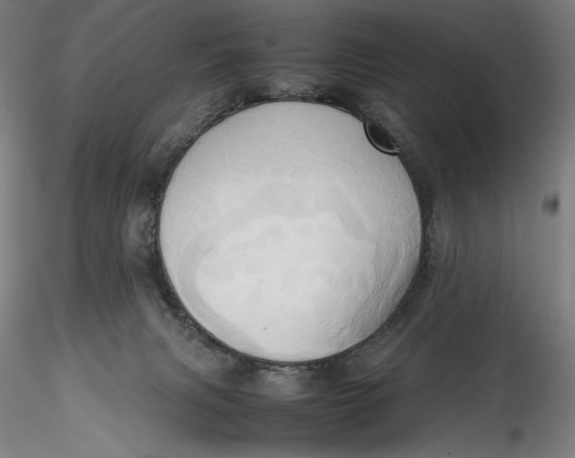 X0000115560079200911271506