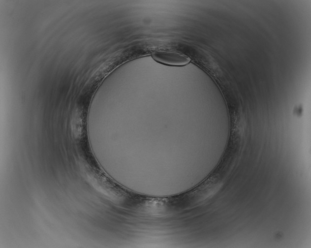 X0000115560080200911271506