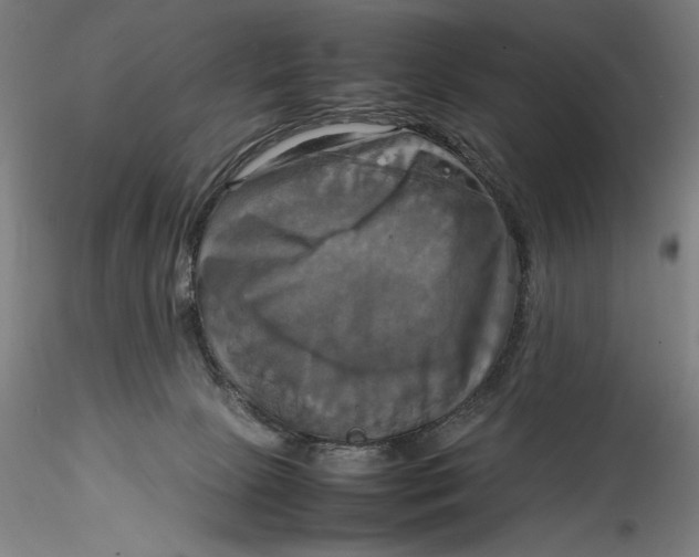 X0000115560081200911271506