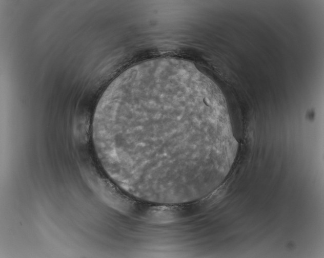 X0000115560082200911271506