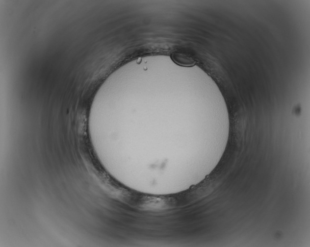 X0000115560083200911271506