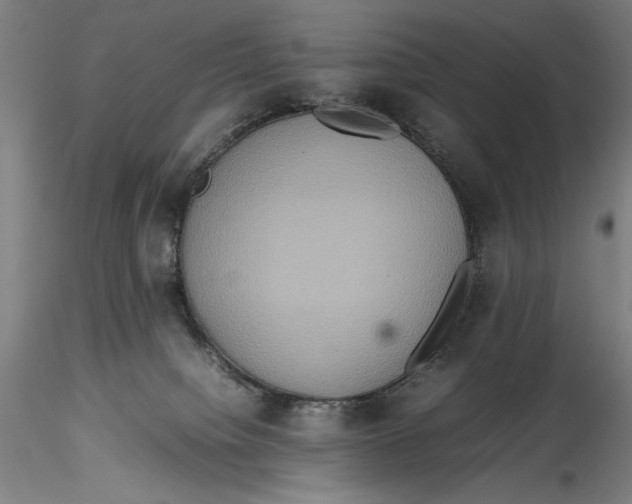 X0000115560084200911271506