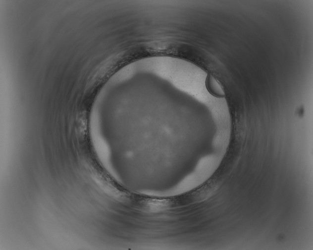 X0000115560085200911271507