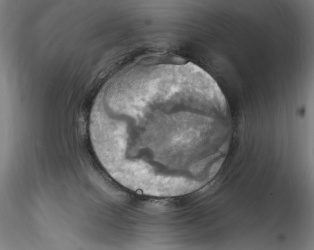 X0000115560086200911271507