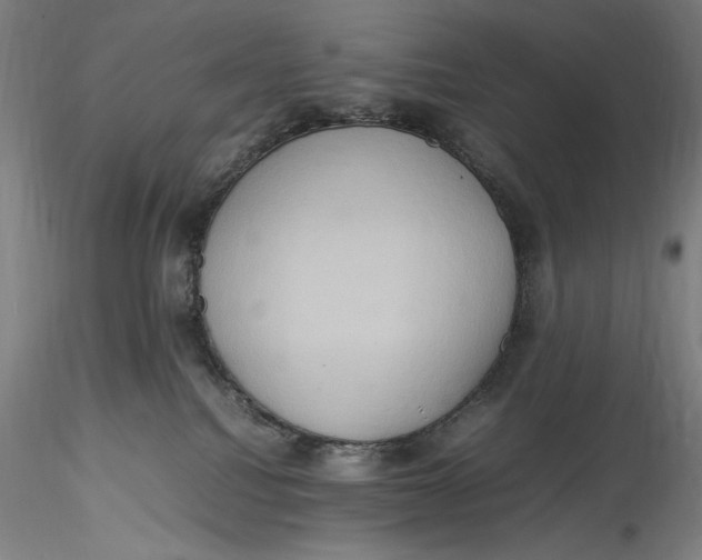 X0000115560088200911271507