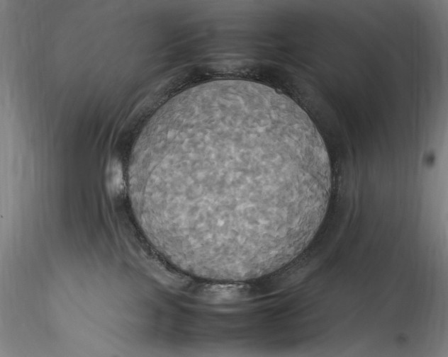 X0000115560089200911271507