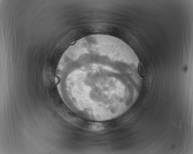 X0000115560091200911271507