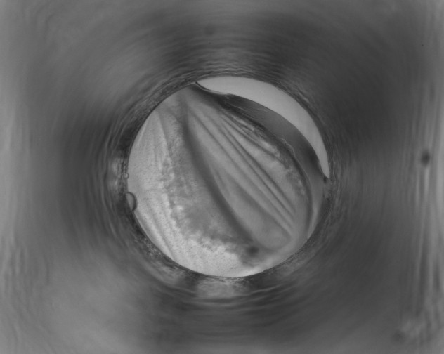 X0000115560093200911271507