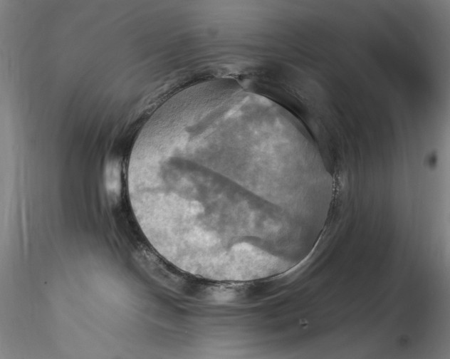 X0000115560094200911271507