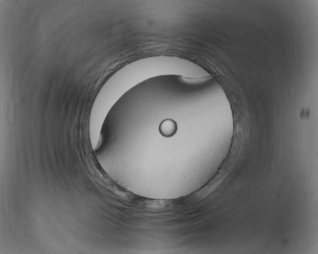 X0000115560096200911271507