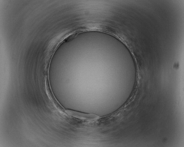 X0000115560097200911271506