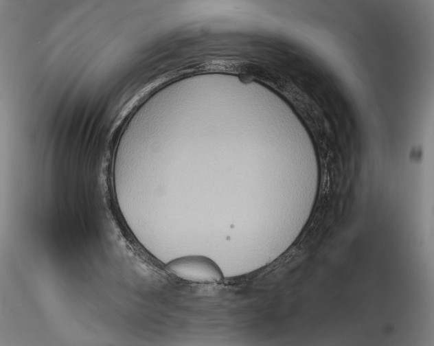 X0000115560098200911271506