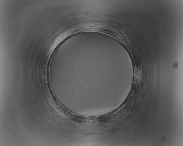 X0000115560099200911271506