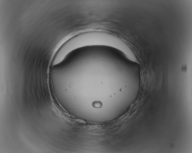 X0000115560100200911271506