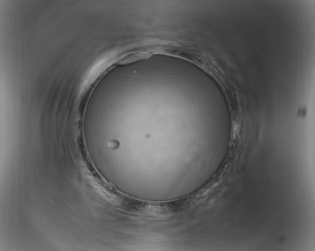 X0000115560101200911271506