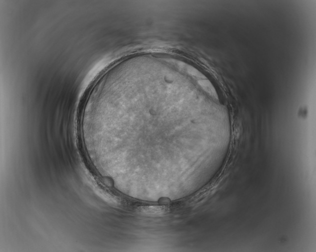 X0000115560102200911271506