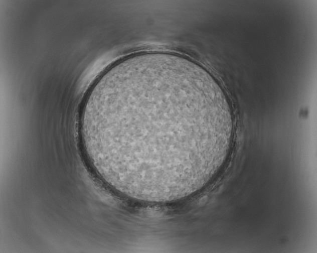 X0000115560103200911271506