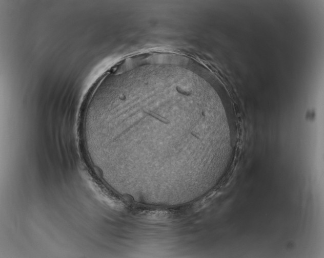 X0000115560104200911271506