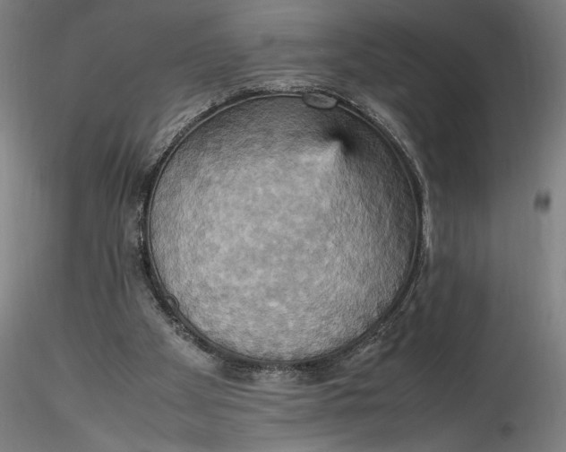 X0000115560105200911271506