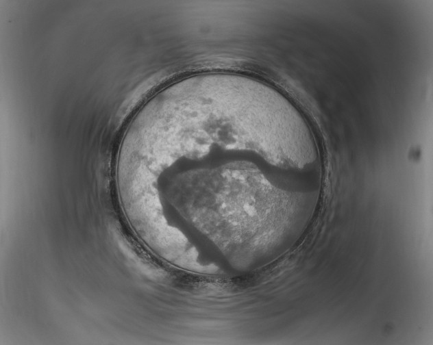 X0000115560107200911271506