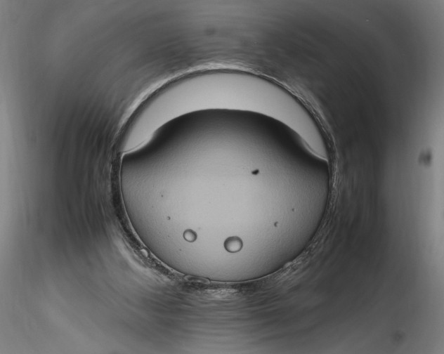 X0000115560108200911271506