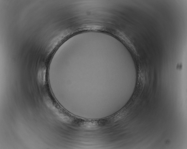 X0000115560110200911271506