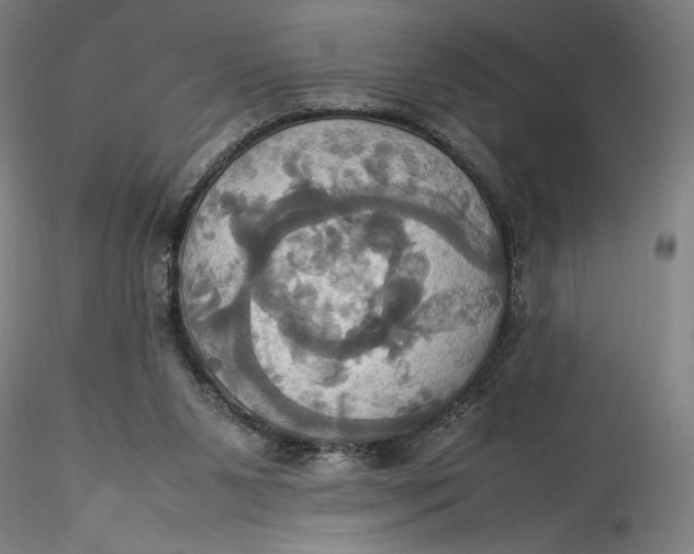 X0000115560111200911271506