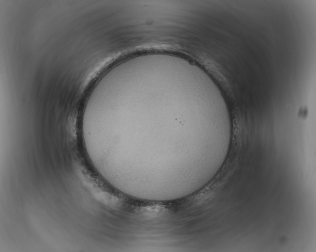 X0000115560112200911271506