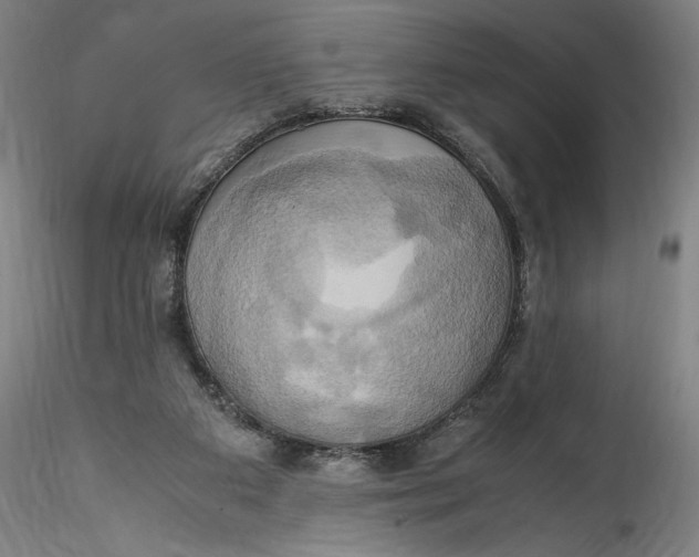 X0000115560113200911271506